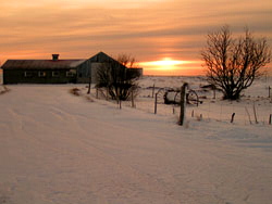 photo essay