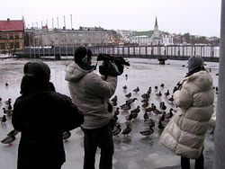 photo essay